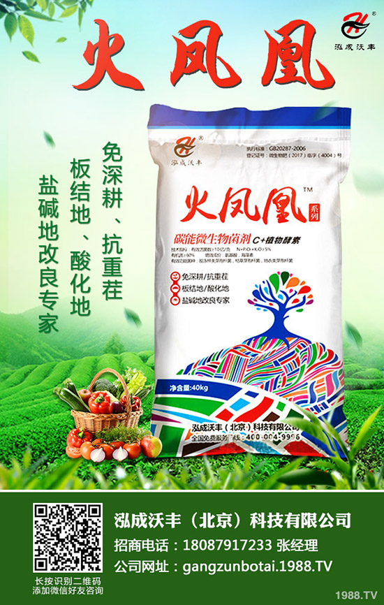     2020��Nֲ����ٍ�X(qi��n)ô��ǰ��������һ������Ͷ�Y��Ч�������