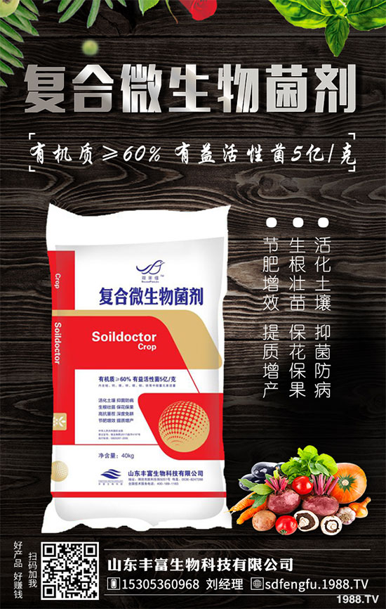 鳳梨是哪里的特產(chǎn)?2020年種植前景如何?