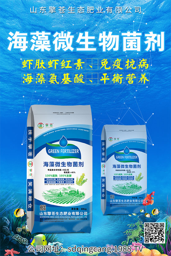 辣椒早衰什么癥狀?辣椒早衰的防治措施!