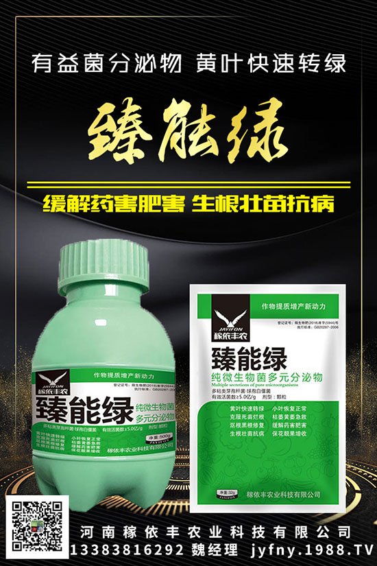 五種糞肥很常見,元素含量理不斷,想要知道點進來?。?!