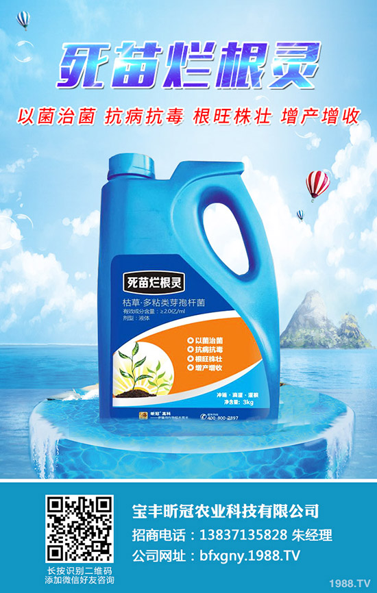 楊梅施肥時間是什么時候，楊梅施肥方法有哪些？