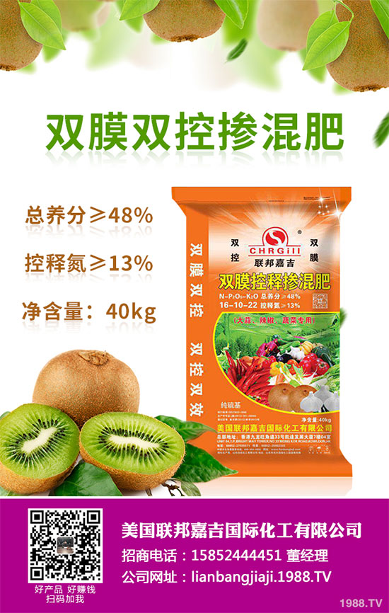 貢菊花該如何栽培？貢菊花高產(chǎn)栽培技術(shù)