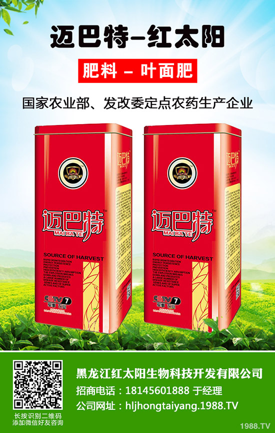 韭菜為什么不分蘗？什么因素影響了韭菜分蘗？