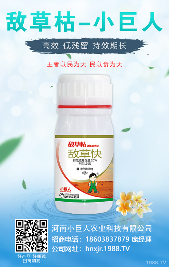 無花果種植行情怎么樣?如果能實(shí)現(xiàn)種植高產(chǎn)?