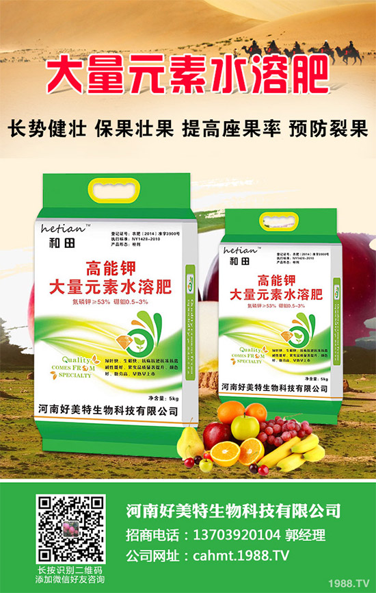 吃蘑菇有什么好處？蘑菇的營(yíng)養(yǎng)價(jià)值及功效作用