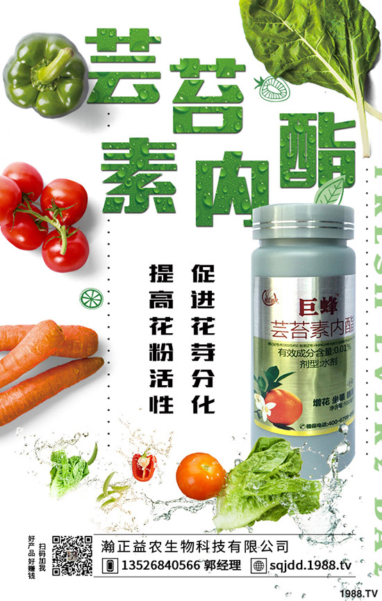 大棚蔬菜采光率低危害，如何提高大棚蔬菜采光率？