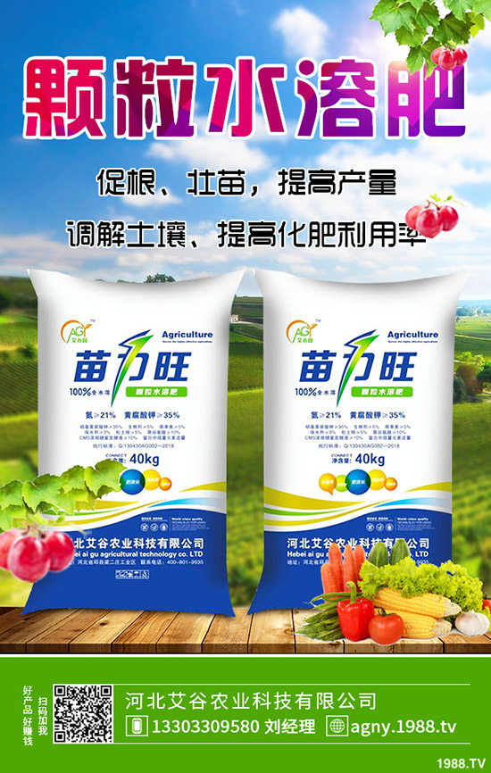 生姜什么時候種，生姜的種植條件有哪些？