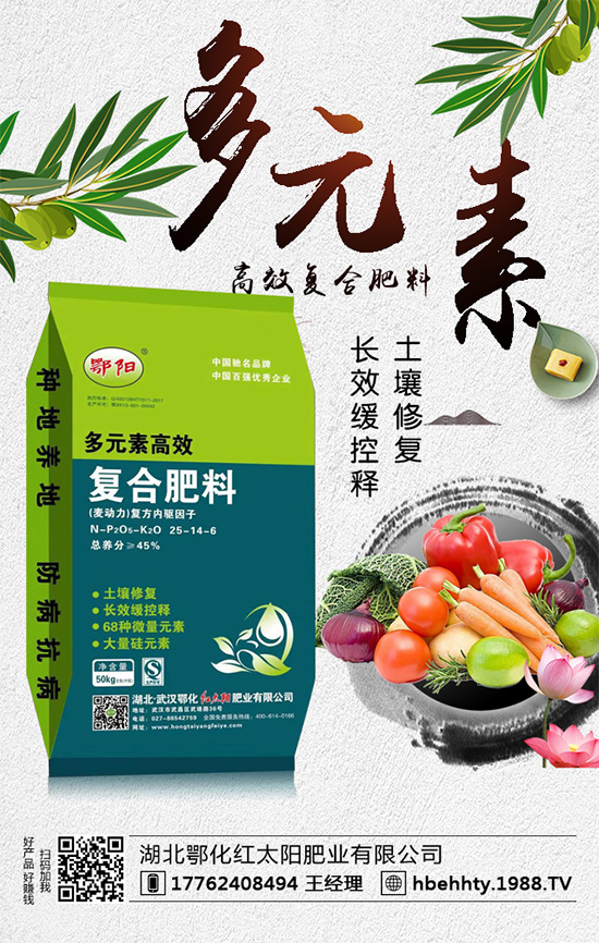 洋蔥什么時(shí)間種植?洋蔥的種植要點(diǎn)!