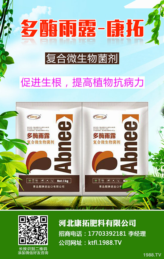 尿素每噸多少錢?2019-12-20今日各地尿素價格走勢分析