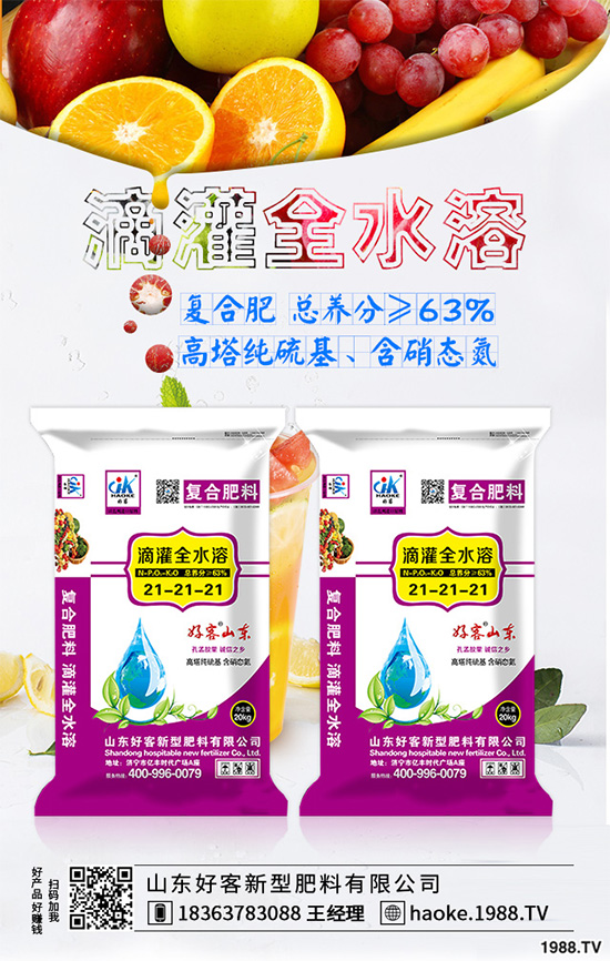 荊芥常見(jiàn)病害有哪些?該如何防治?荊芥常見(jiàn)病害的發(fā)生與防治技巧