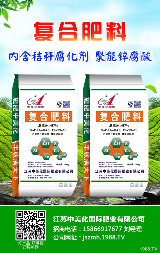 2020年茶油樹種植前景怎么樣？茶油樹種植方法有哪些