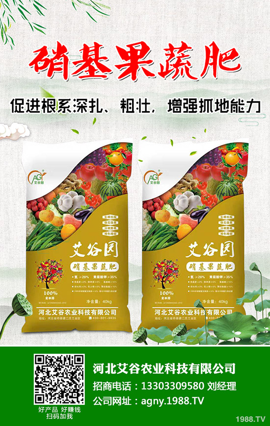     2020年春節(jié)將至！磷銨市場壓力巨大！最新二銨價格行情走勢預(yù)測！