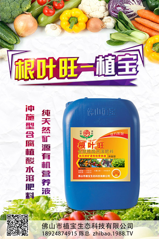 柚子有許多品種,各有各的風(fēng)味。但眼尖的人會(huì)發(fā)現(xiàn),市面上賣的紅肉蜜柚比普通蜜柚要貴上許多。同樣是柚子,外表看起來也差不多,紅肉蜜柚憑什么比白肉柚子貴?