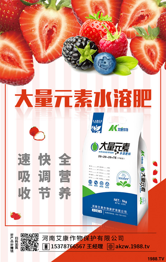 老虎姜該怎么種植？老虎姜高產(chǎn)種植技術(shù)管理