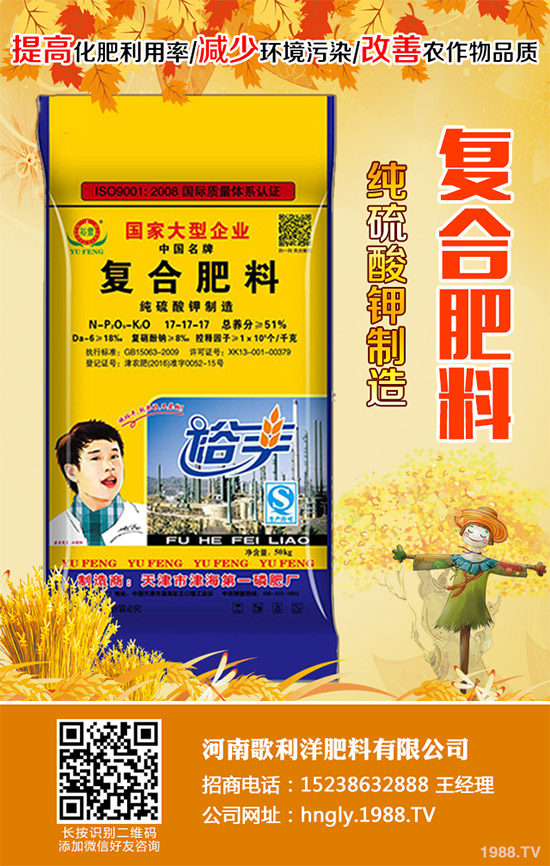 老虎姜該怎么種植？老虎姜高產(chǎn)種植技術(shù)管理