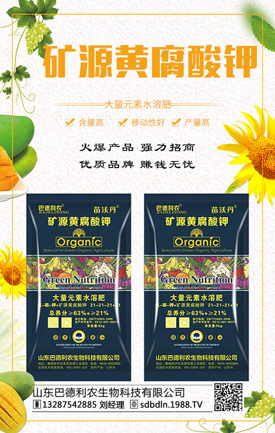 復(fù)合肥行情漲跌互現(xiàn)!2019年12月末最新價格走勢預(yù)測!