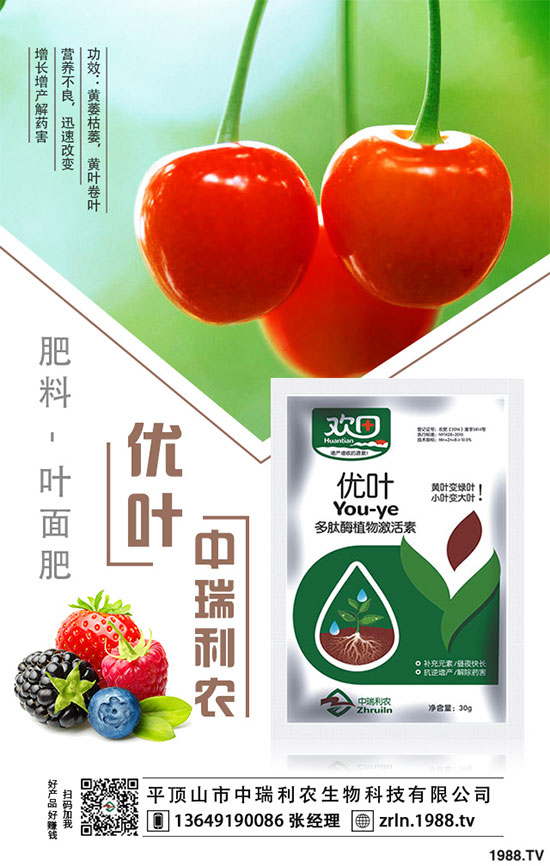 芋頭的品種選擇，芋頭種植需要哪些注意事項(xiàng)？