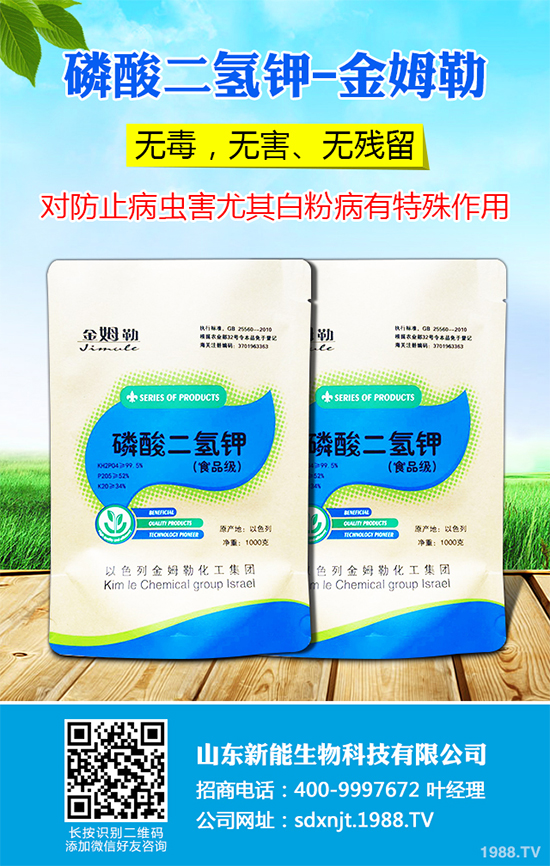 魔芋價(jià)格多少錢(qián)一斤?2020年魔芋種植的市場(chǎng)行情