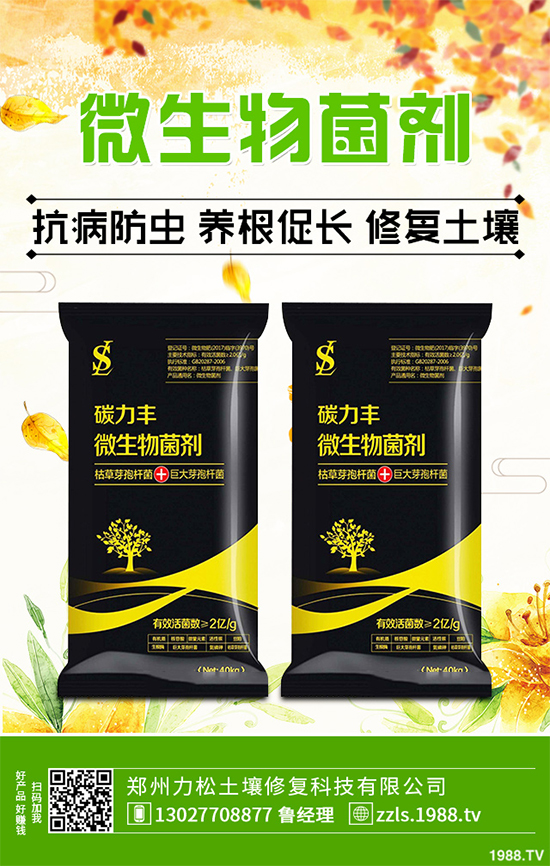 種植什么藥材能賺錢?2020年中藥材種植前景分析