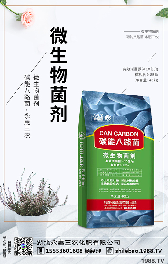 2020年西梅的種植前景如何？西梅價格多少錢一斤？