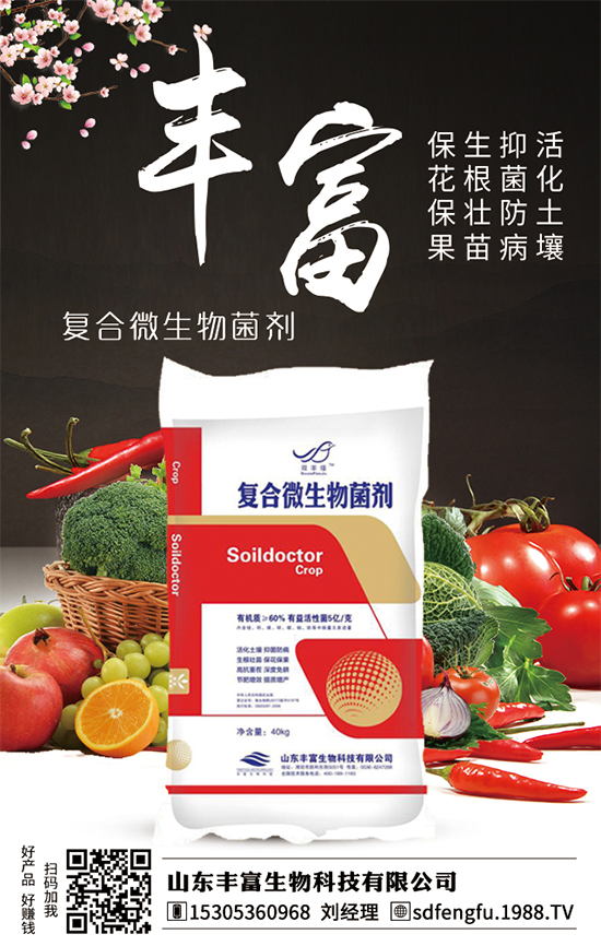 枇杷什么時(shí)間嫁接比較好？嫁接的枇杷樹幾年結(jié)果？（枇杷樹嫁接方法）