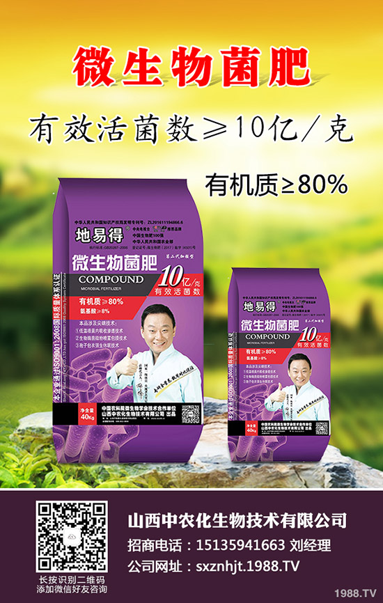     2020早春玉米在那些地區(qū)種植合適？春玉米種植播種時期及技術要點！