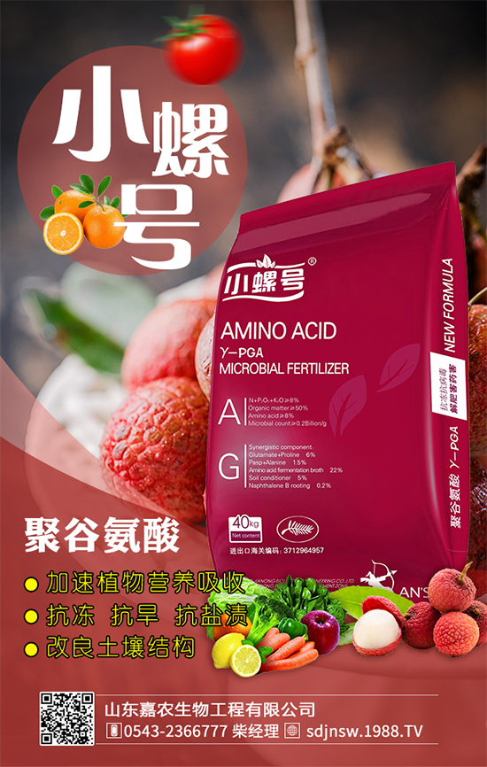 金針菇什么時間栽培？金針菇生長條件！