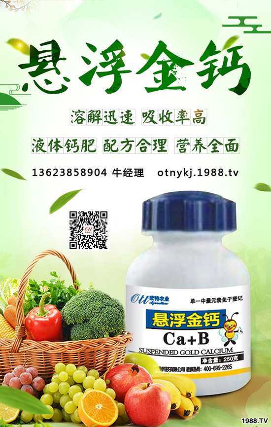 草莓得了葉枯病怎么辦，如何防治？草莓葉枯病防治方法！