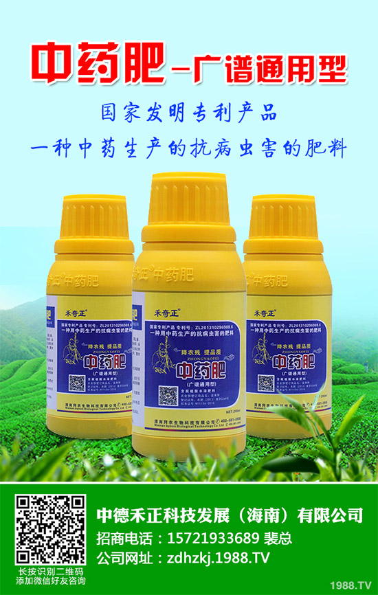 金線蓮有哪些營(yíng)養(yǎng)價(jià)值?金線蓮的功效作用及食用方法