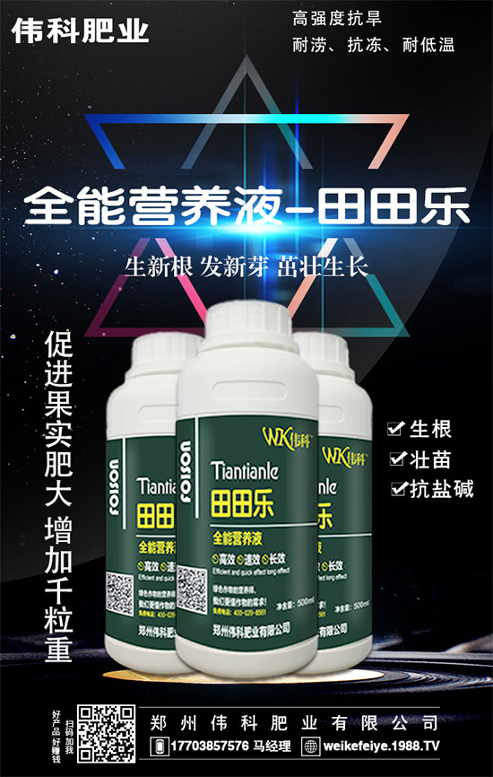 橙子的營養(yǎng)價值有哪些?功效與作用有哪些?不易哪些人群食用?