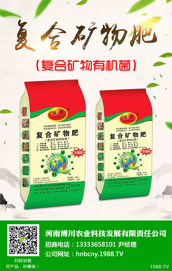 野生金線蓮有哪些神奇功效？野生金線蓮的功效及用法