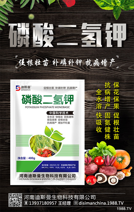 野生金線蓮有哪些神奇功效？野生金線蓮的功效及用法