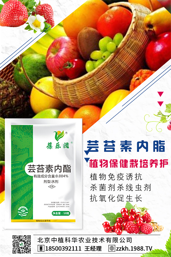 彩椒什么時(shí)間種植?彩椒的高產(chǎn)種植方法!