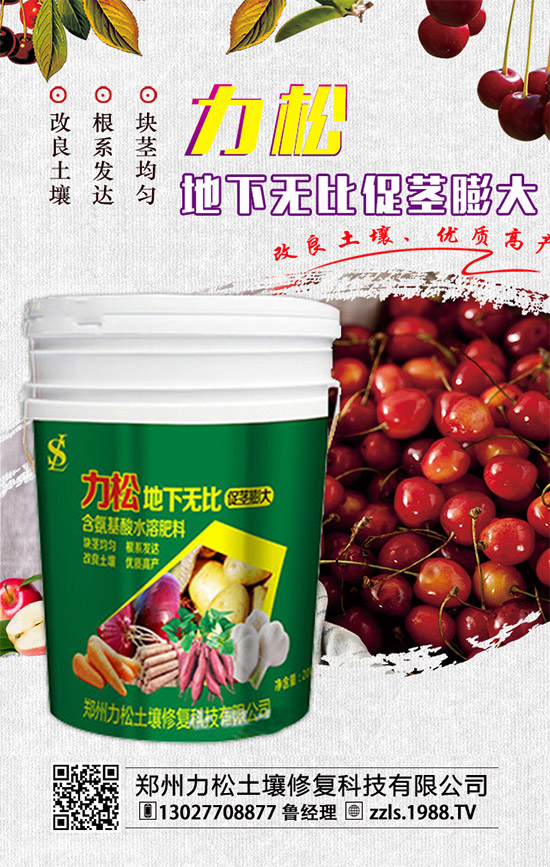     2019-12-4二銨冬儲(chǔ)推進(jìn)動(dòng)力不足！二銨價(jià)格行情分析快報(bào)！