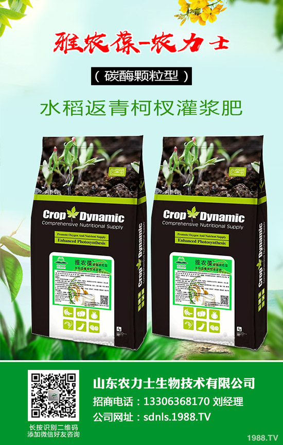     2019-12-4復(fù)合肥報(bào)價(jià)暫穩(wěn)成交下滑！復(fù)合肥行情后市預(yù)測！