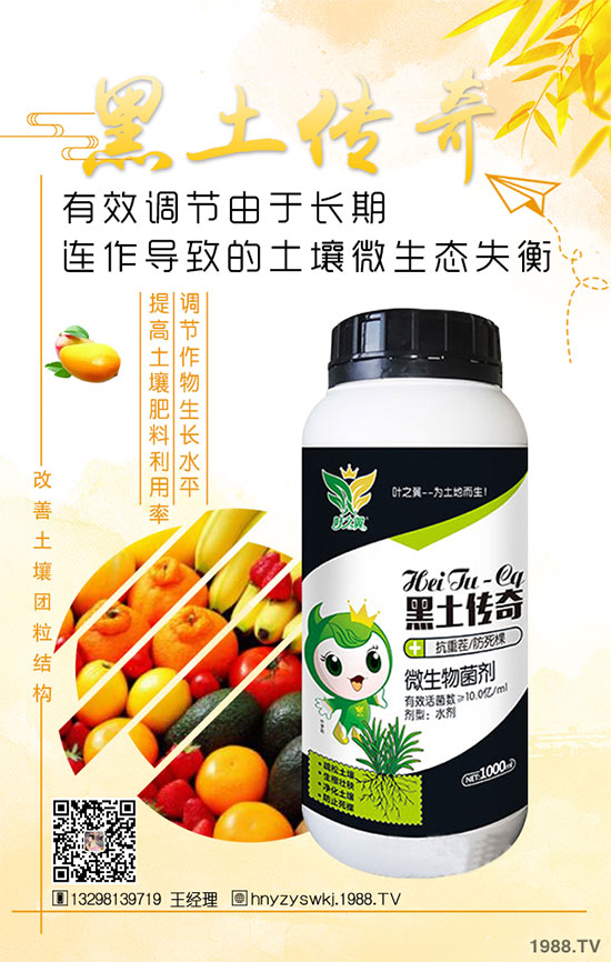 花椒樹(shù)什么季節(jié)種植?花椒樹(shù)的種植注意事項(xiàng)!