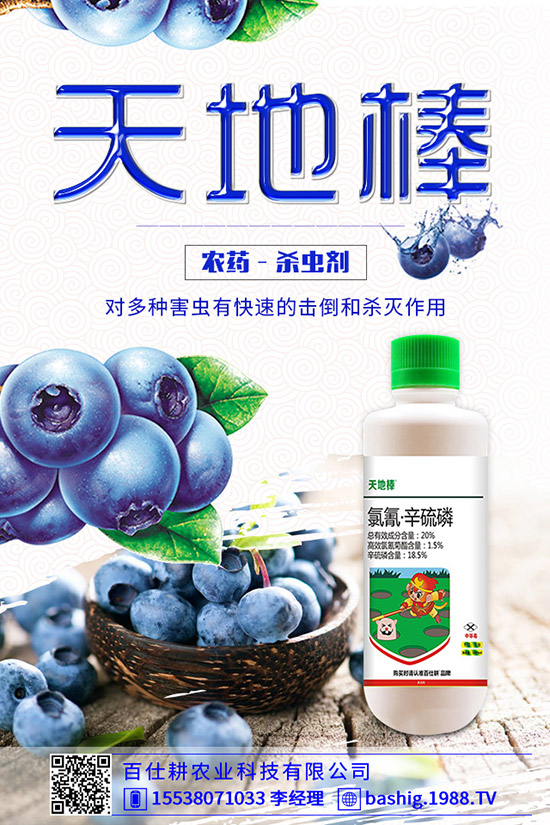 空心菜用什么肥好，空心菜的施肥技巧有哪些？