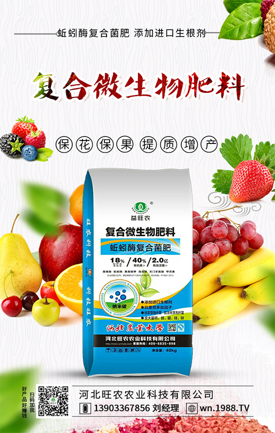 大白菜上的小黑點(diǎn)是什么？如何預(yù)防白菜長(zhǎng)黑點(diǎn)呢？