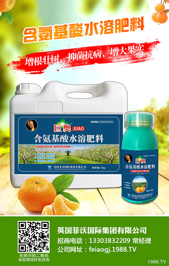 我國南方該怎樣種植藍莓?藍莓高產(chǎn)種植技術要點