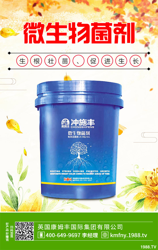 我國南方該怎樣種植藍莓?藍莓高產(chǎn)種植技術要點