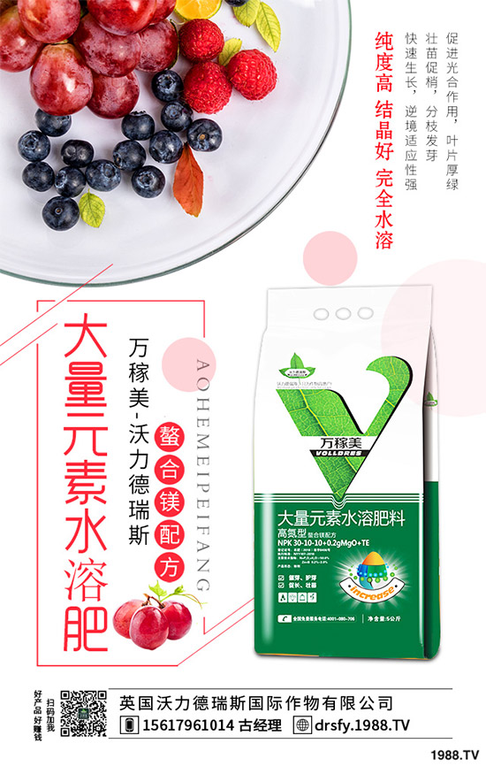 冬季該如何栽培馬鈴薯？七步輕松獲得高產(chǎn)