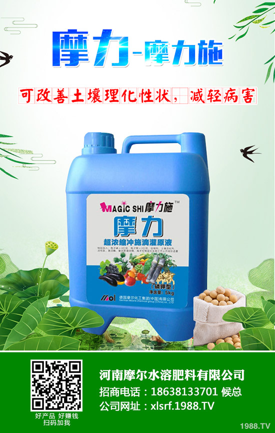 甜瓜用什么肥料好，甜瓜施肥技術(shù)有哪些？