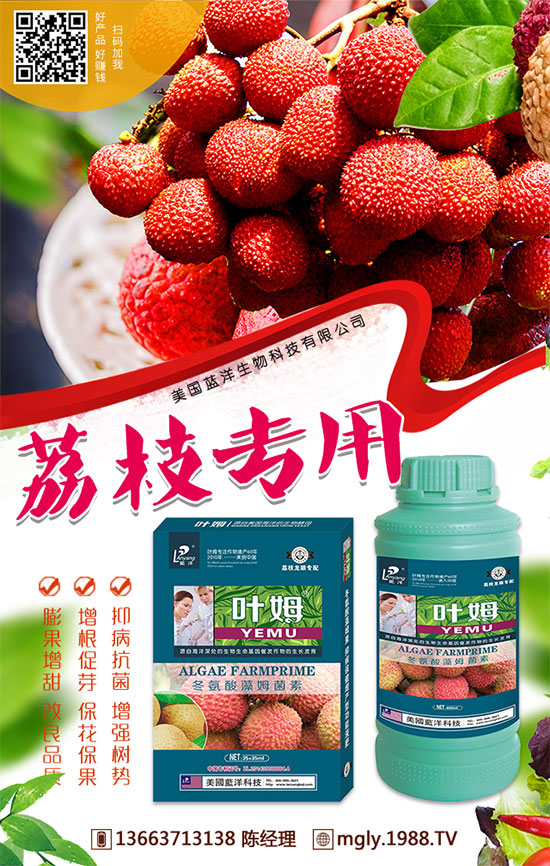 紅薯儲藏的因素,紅薯儲藏有哪些方法?