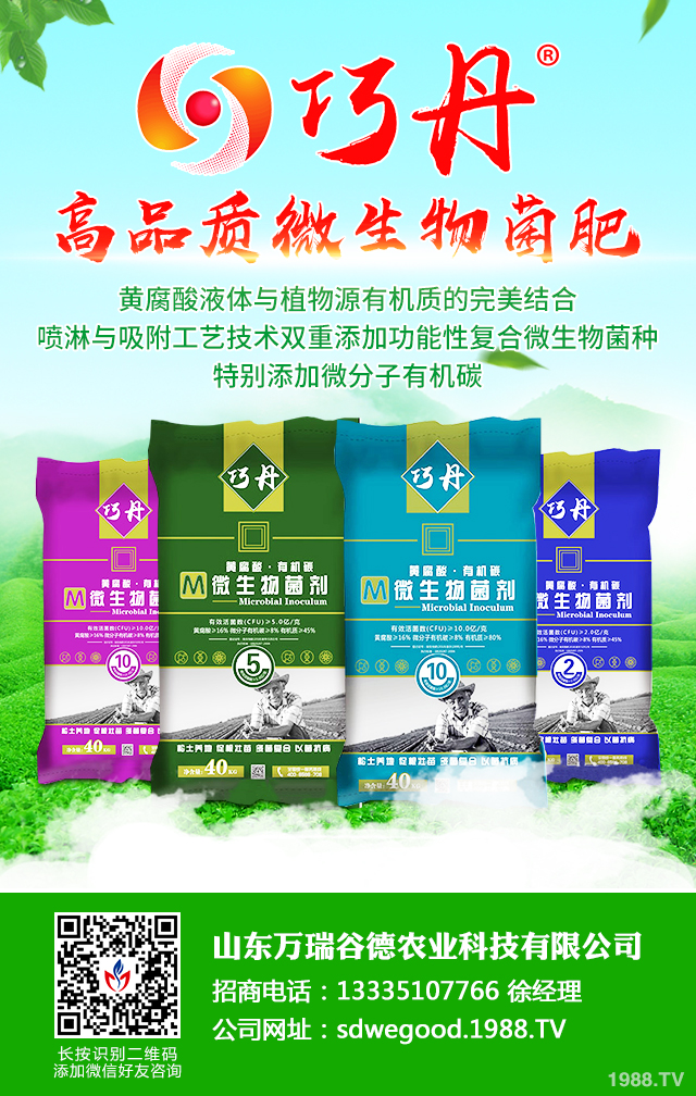 絲瓜早衰怎么防治效果好？絲瓜早衰防治方法