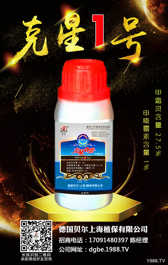 秋蘿卜霜霉病來(lái)襲,到底該如何防治?快來(lái)看看吧!