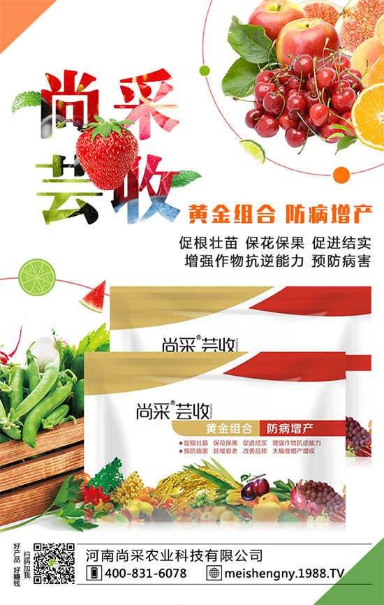 棗樹座果率低的原因是什么呢?棗樹如何提高座果率?