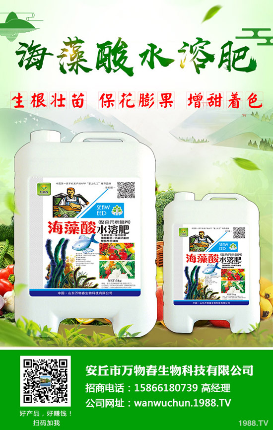 �＾��ηN�ô�ײˣ���Ҫע��ʲô��