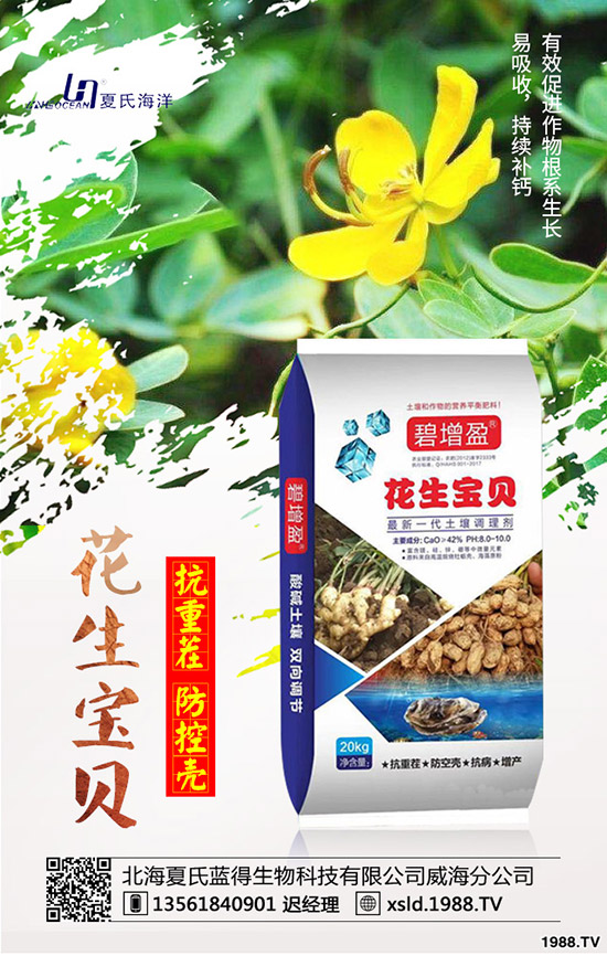 板藍(lán)根種前景如何？板藍(lán)根高產(chǎn)種植要點(diǎn)！