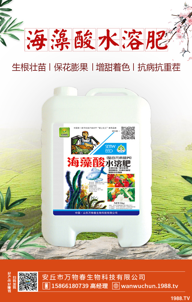 紫皮蒜怎么種植?紫皮蒜的種植管理方法