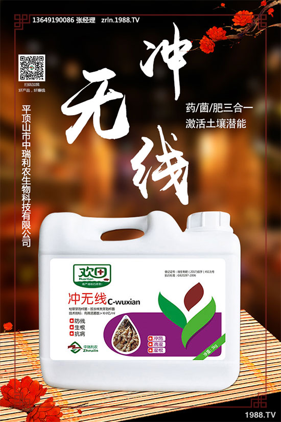 如何進行黑木耳定植與發(fā)菌管理?黑木耳種植注意事項!